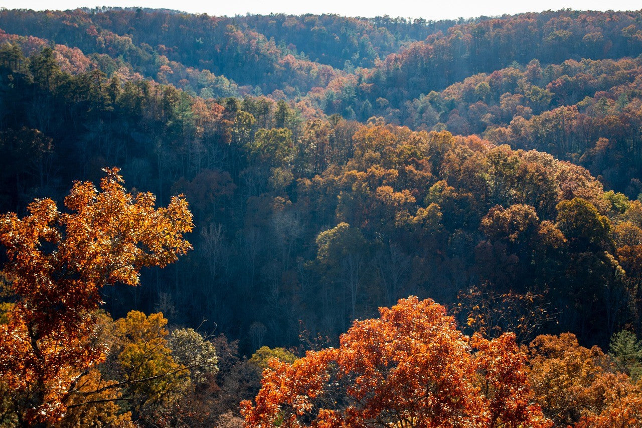 Asheville