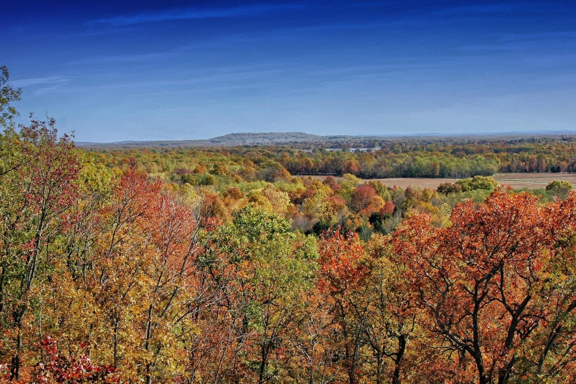 Little Rock