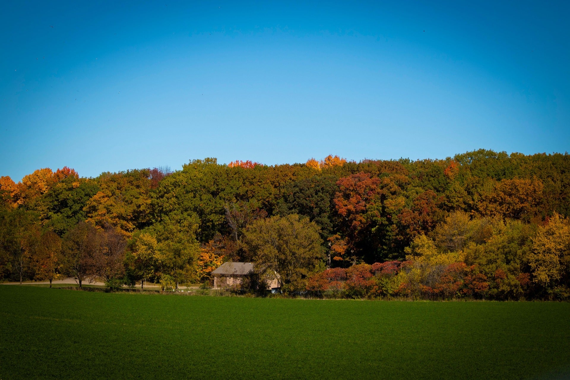 Wisconsin