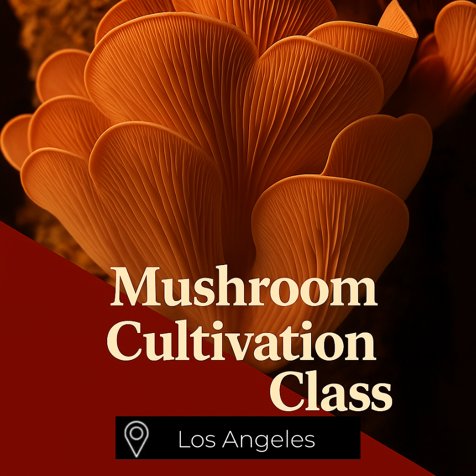 Mushroom Cultivation Class Los Angeles