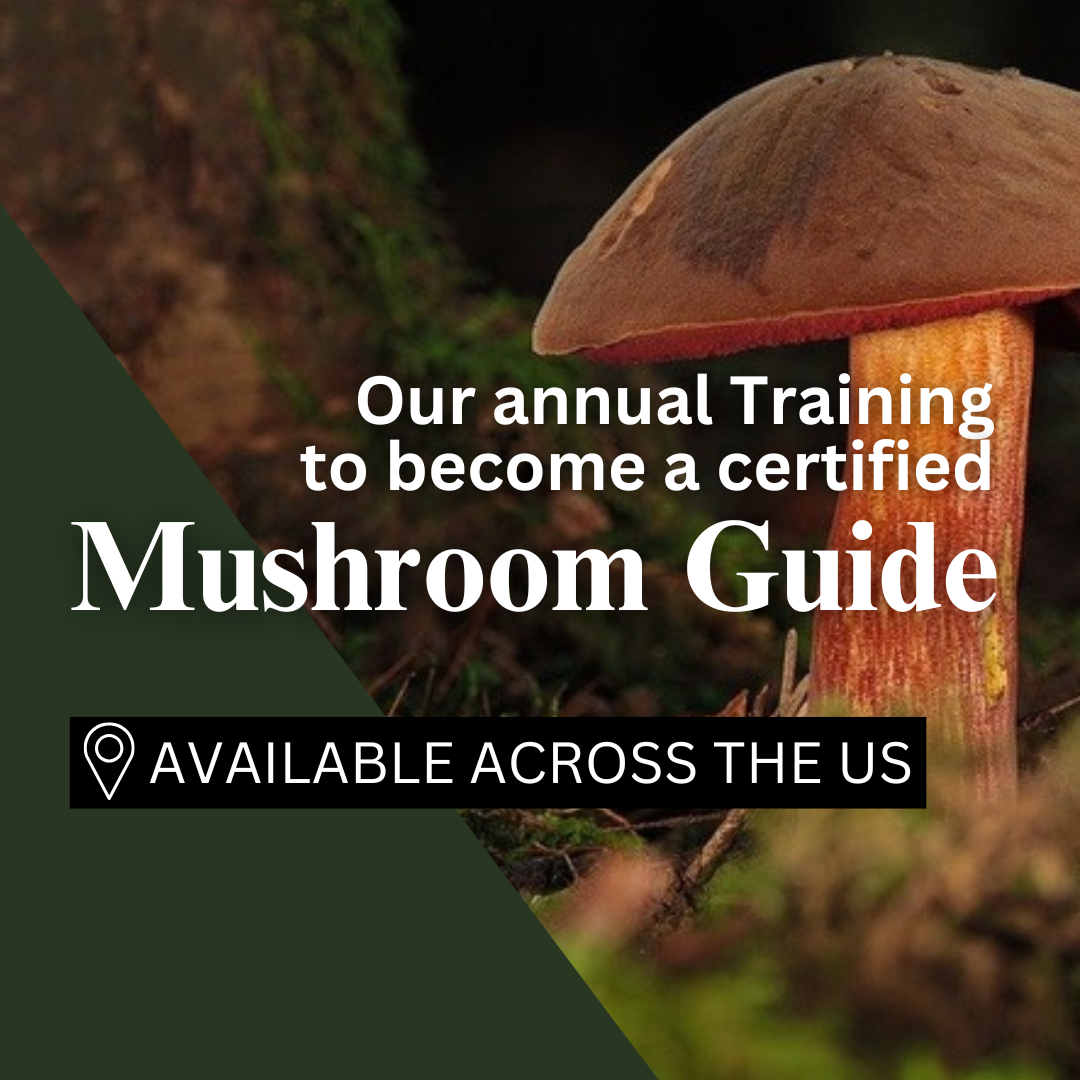 Certified Mushroom Guide Training
