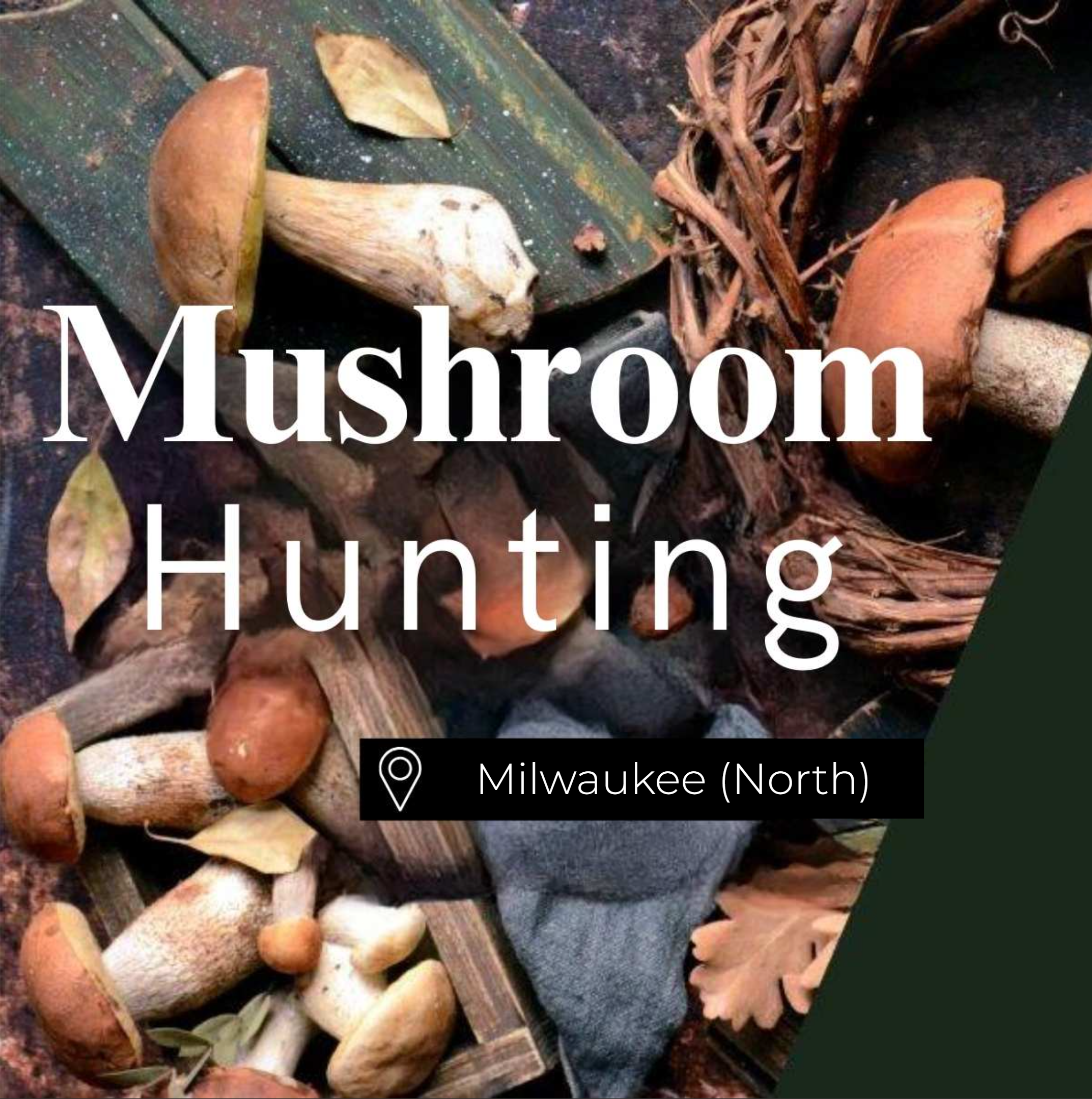 Mushroom Hunting Milwaukee (North)