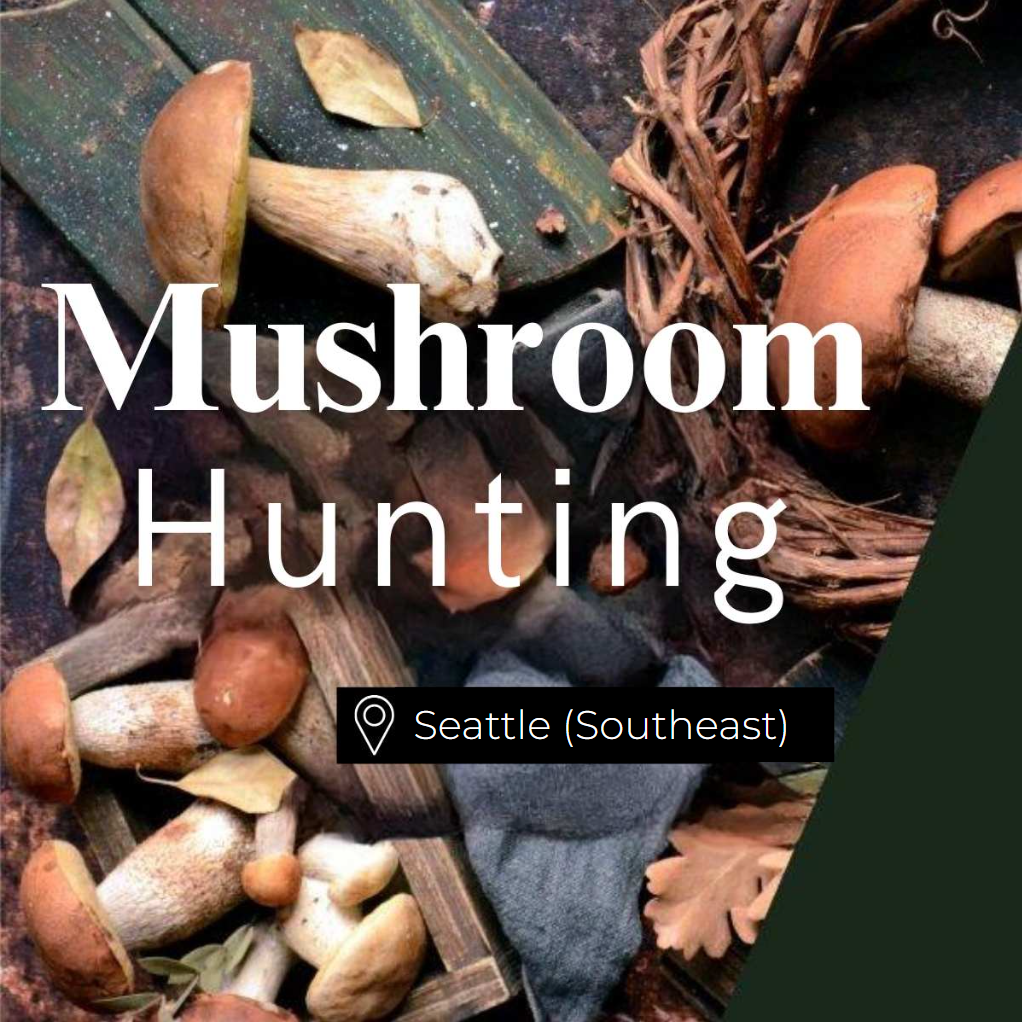 Mushroom Hunting Seattle (Southeast)