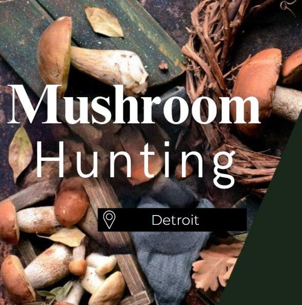 Mushroom Hunting Detroit