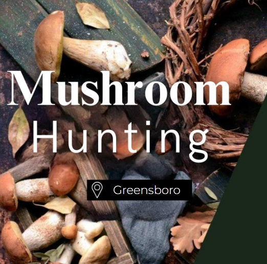 Mushroom Hunting Greensboro