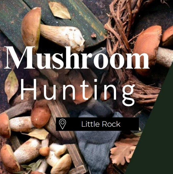 Mushroom Hunting Little Rock
