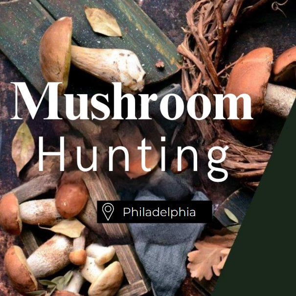 Mushroom Hunting Philadelphia