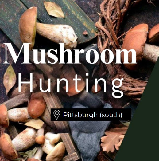 Mushroom Hunting Pittsburgh (South)