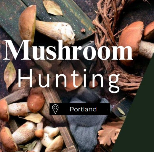 Mushroom Hunting Portland