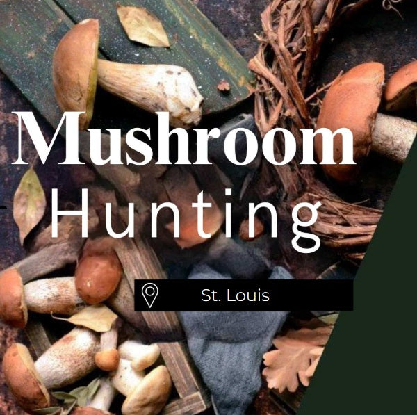 Mushroom Hunting St. Louis