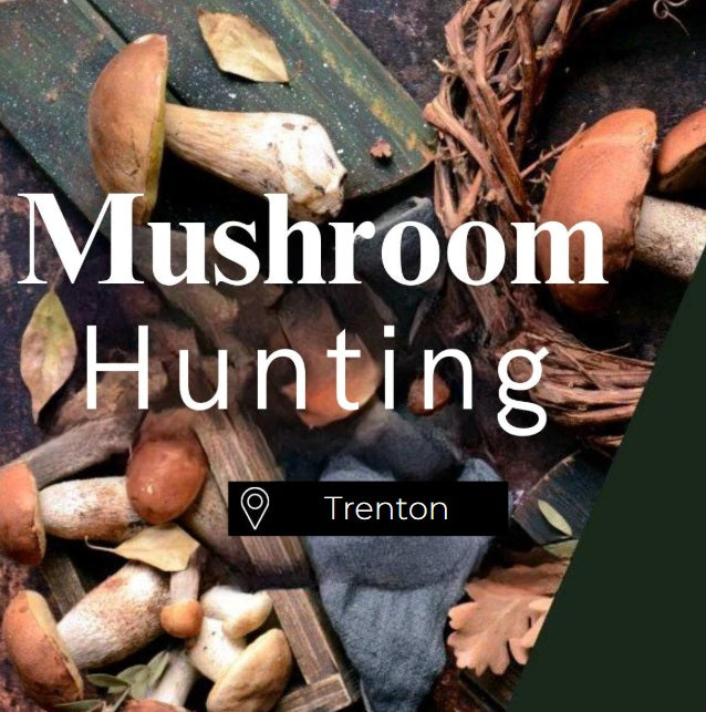 Mushroom Hunting Trenton