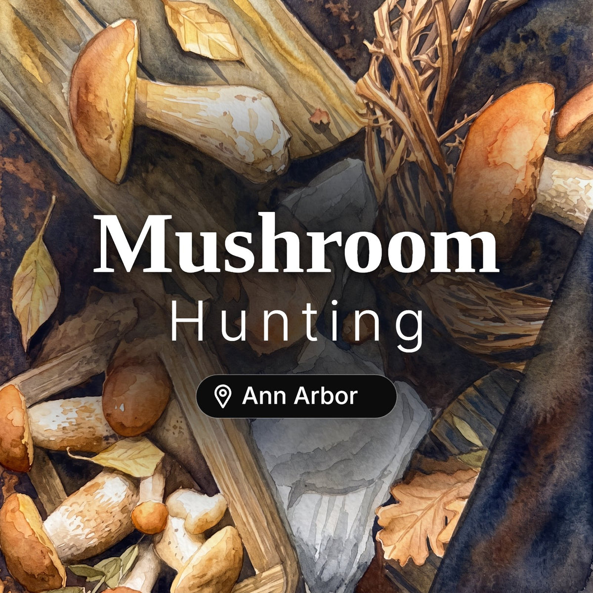 Mushroom Hunting Ann Arbor – guided foraging tour