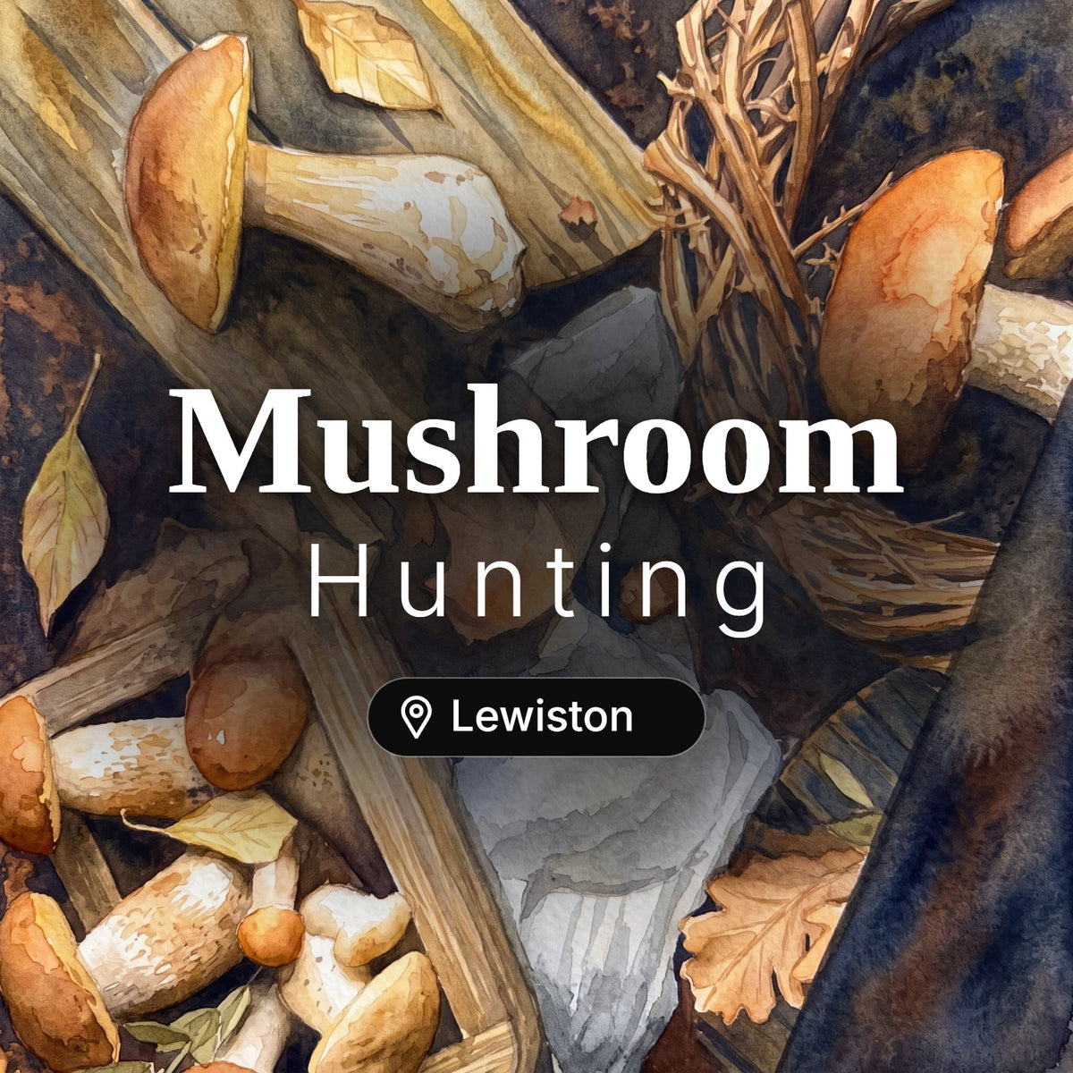 Mushroom Hunting Lewiston – guided foraging tour