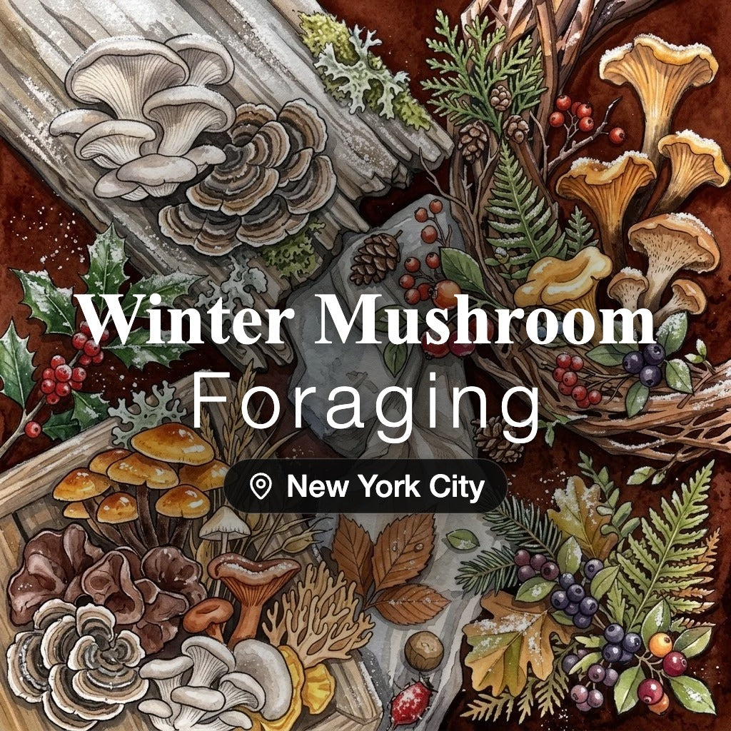 Winter Mushroom Foraging New York City: guided winter foraging tour by Wyldforest