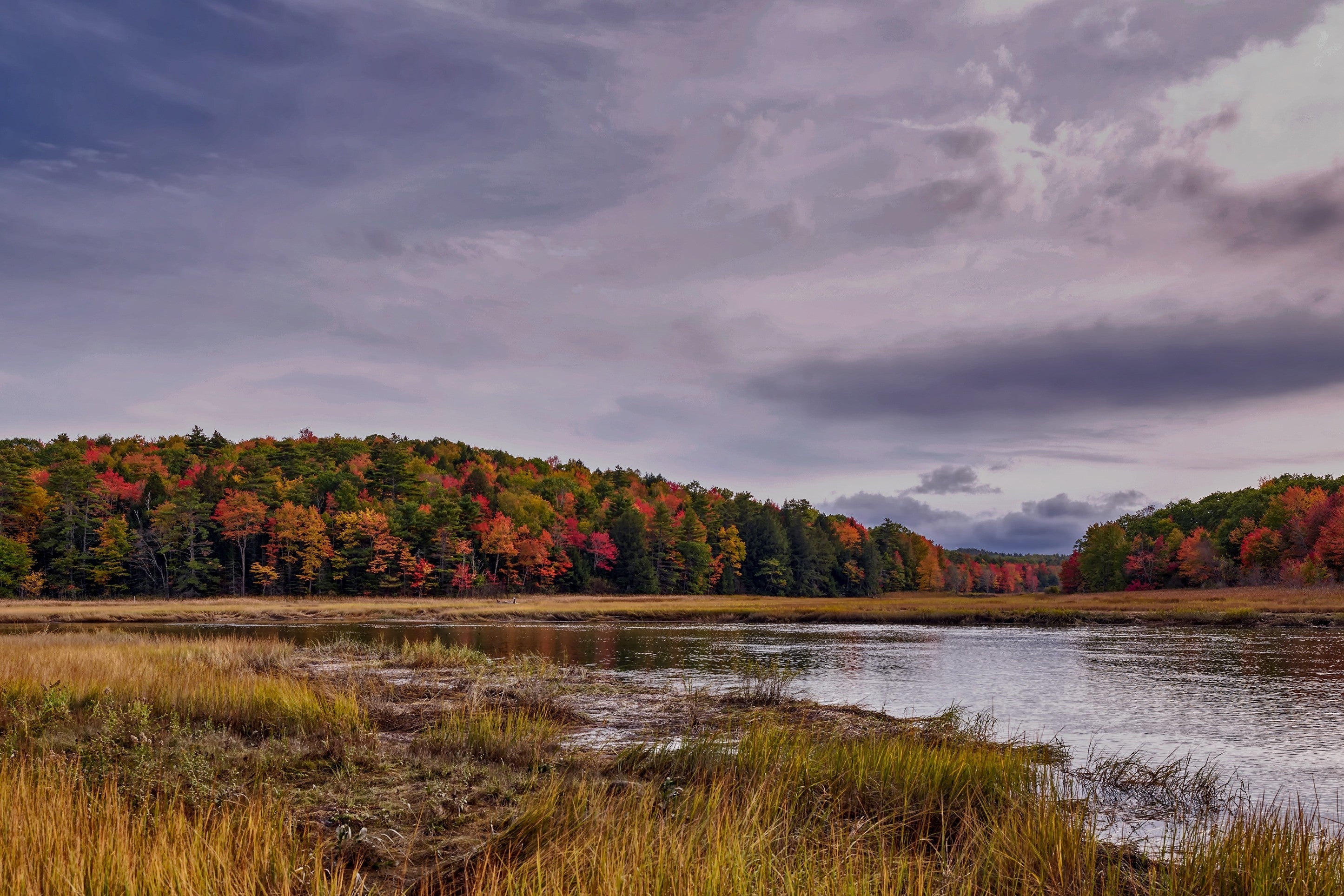 Springfield (VT)