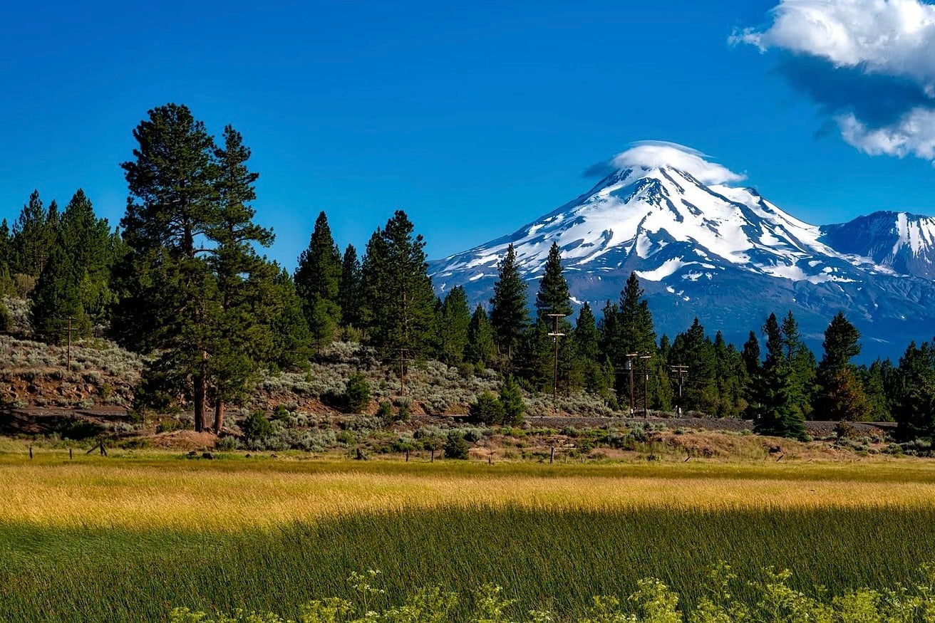 Mount Shasta