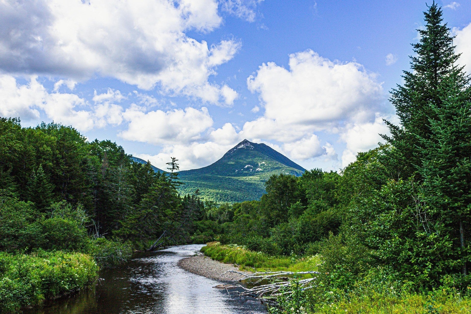 Lewiston