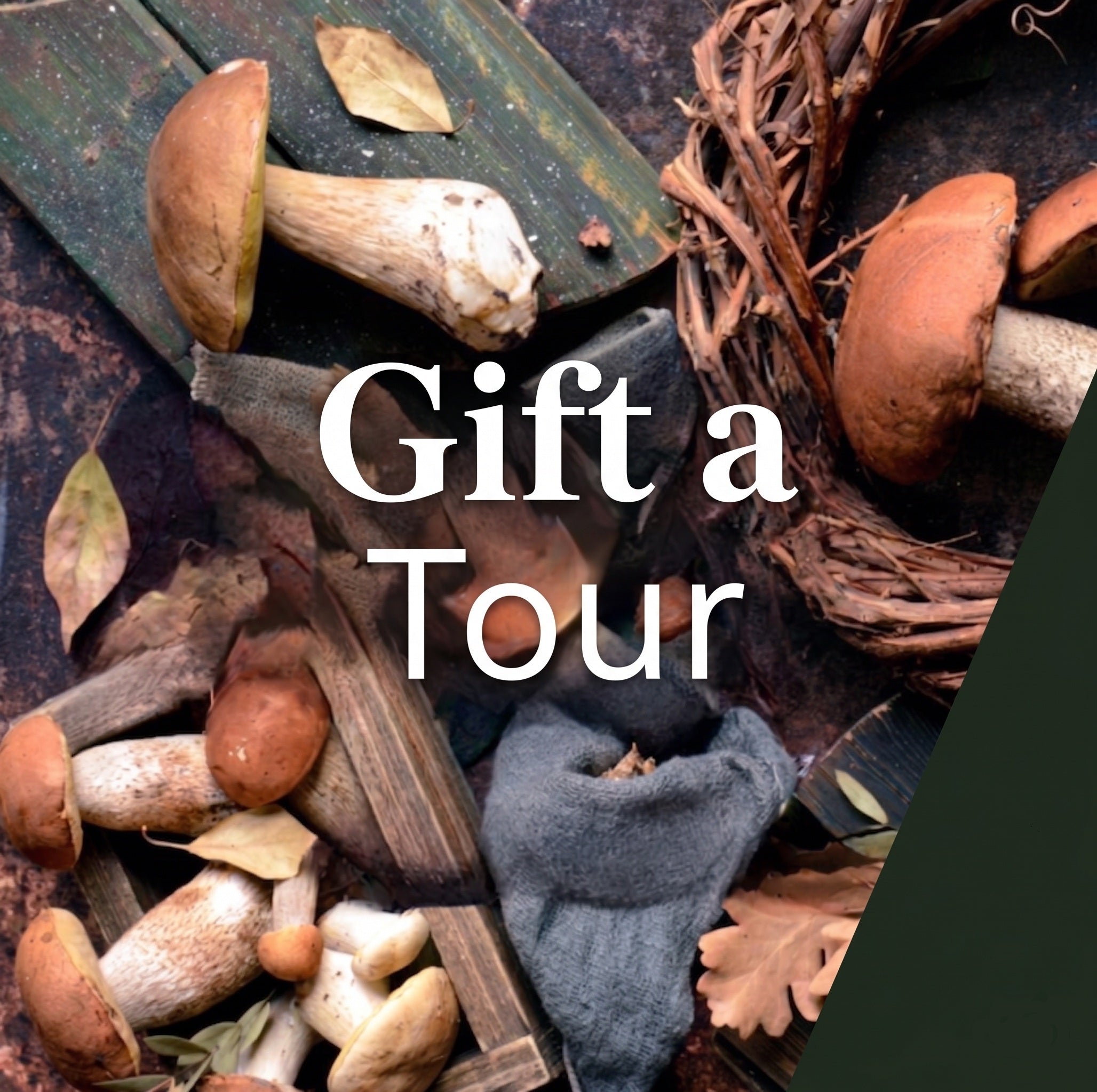 Gift a Tour