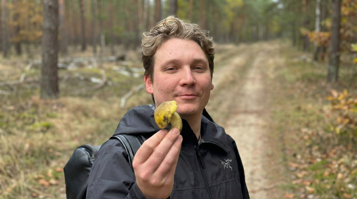 Wyldforest guide holding a freshly found mushroom on a forest trail