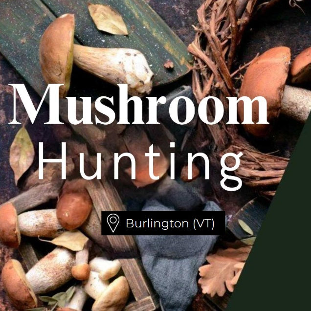 Mushroom Hunting Burlington (VT)