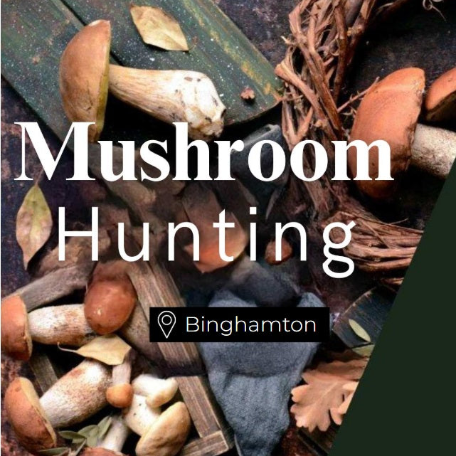 Mushroom Hunting Binghamton