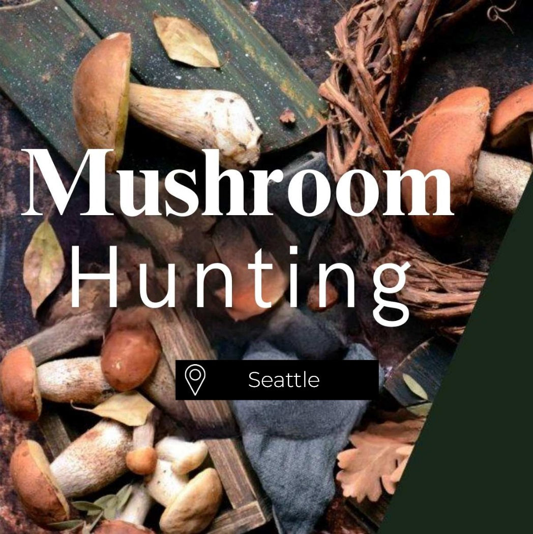 Mushroom Hunting Seattle