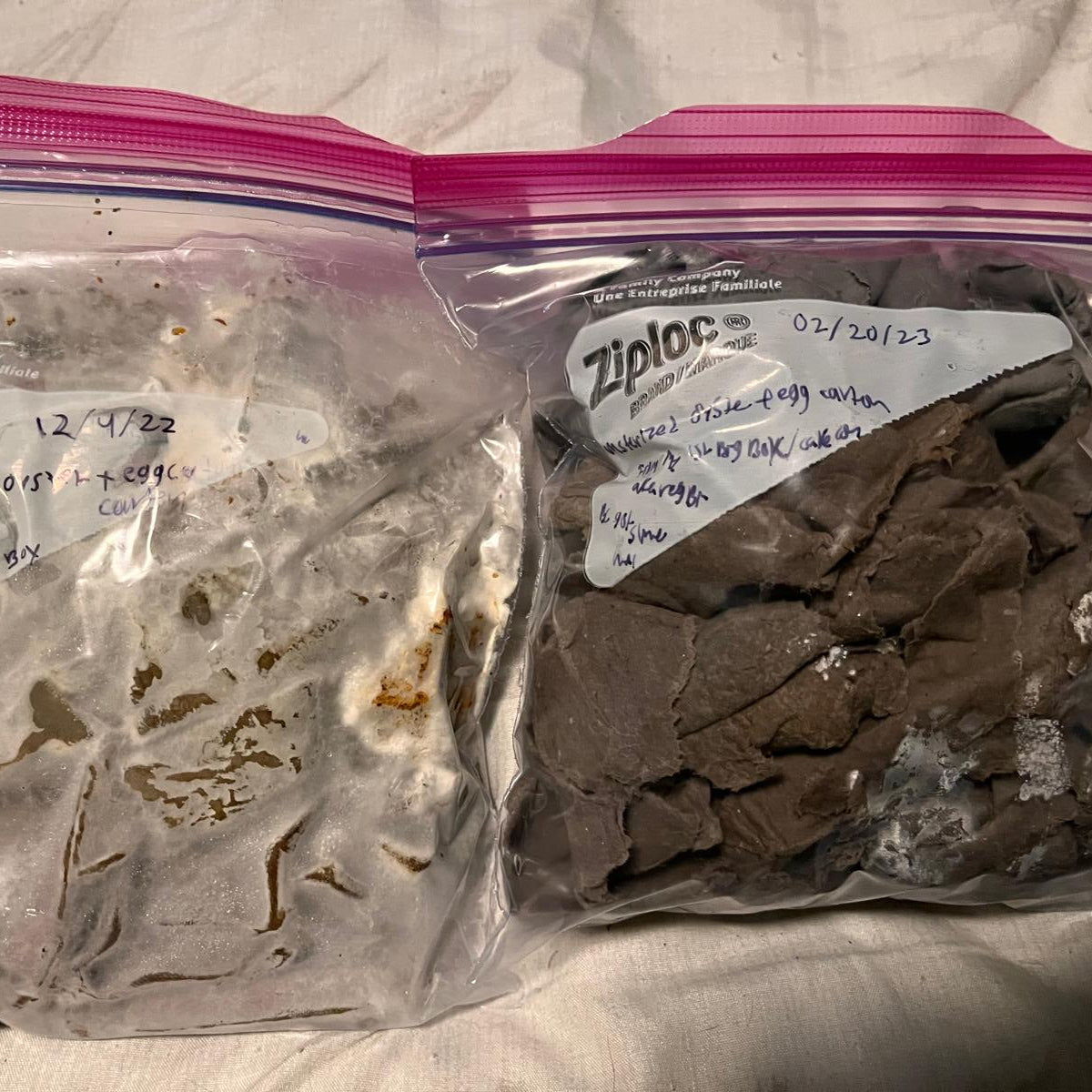 Mushroom Cultivation Class Los Angeles