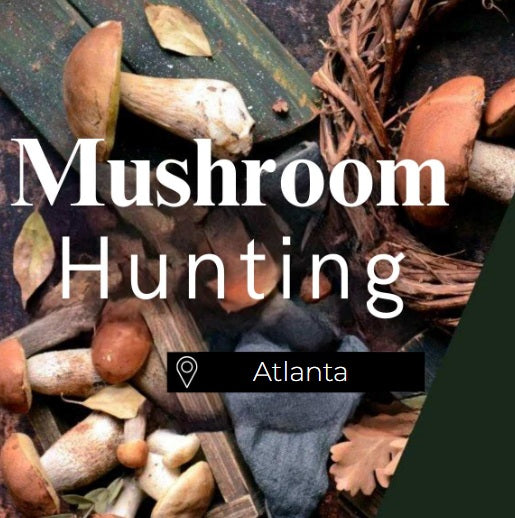 Mushroom Hunting Atlanta