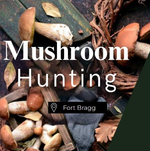 Mushroom Hunting Fort Bragg