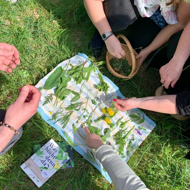 Herbal Foraging San Francisco (Oakland)