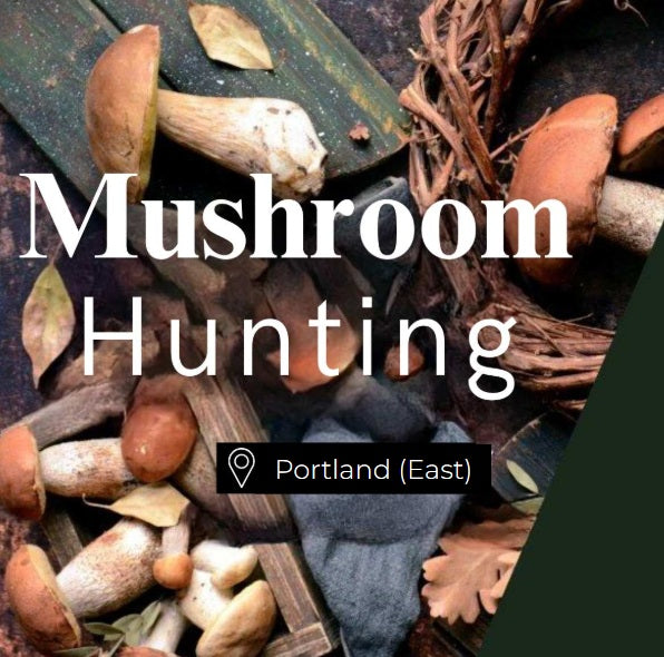 Mushroom Hunting Portland (East)