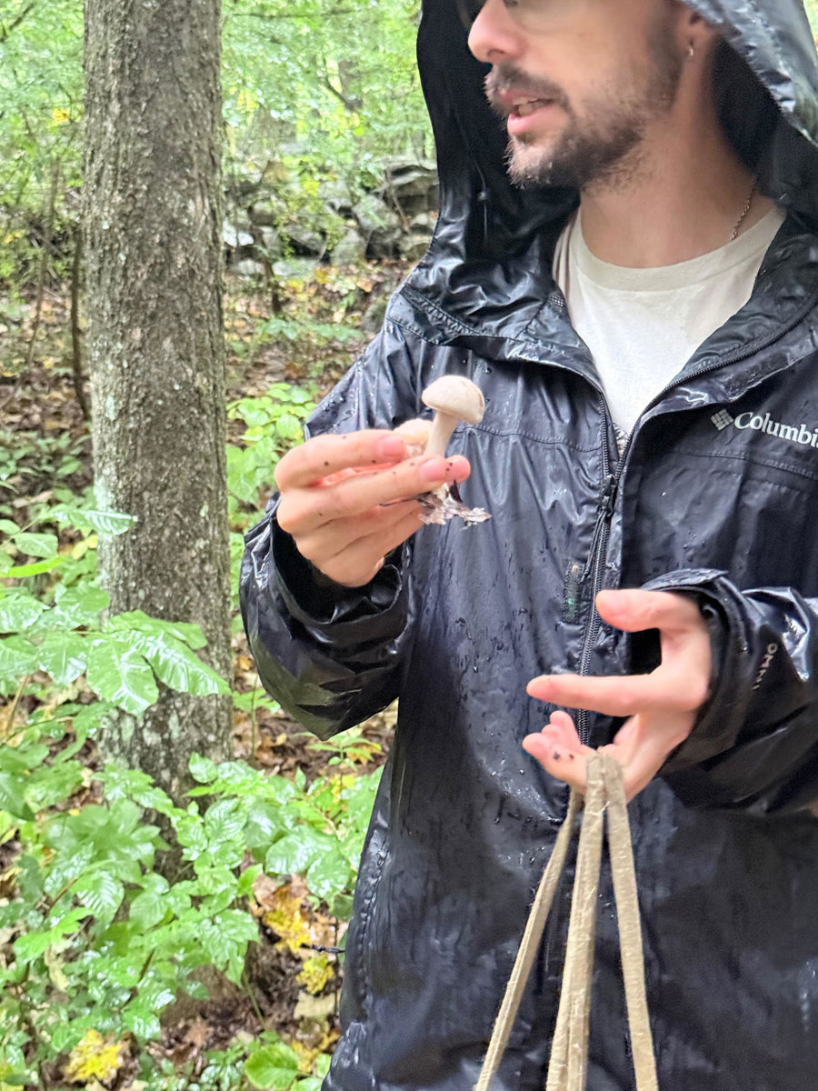 Wyldforest guide explaining a mushroom on a rainy tour in Redding, CT