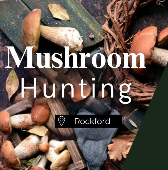 Mushroom Hunting Rockford