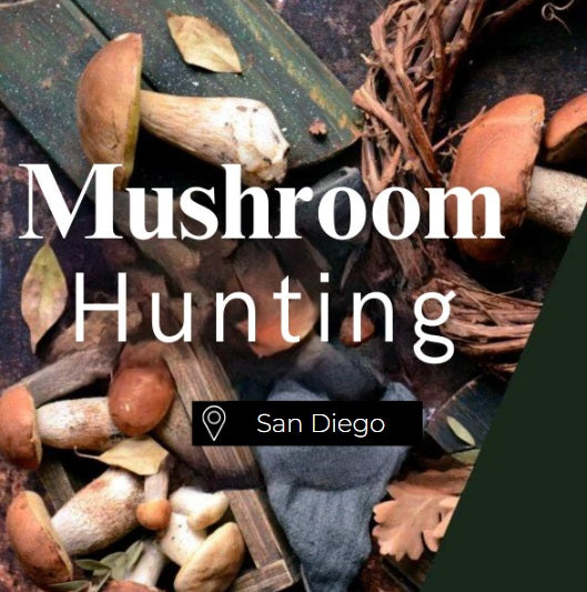 Mushroom Hunting San Diego