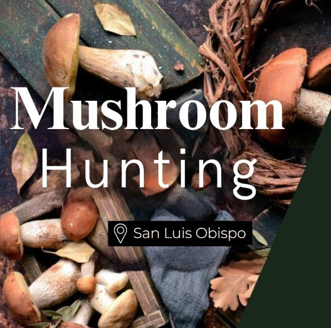 Mushroom Hunting San Luis Obispo