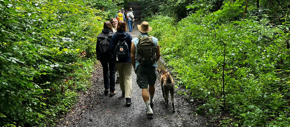 Private group walking a forest trail on a guided mushroom hike