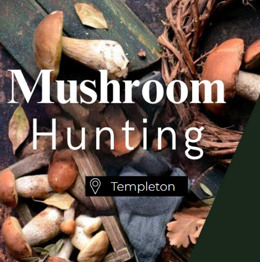 Mushroom Hunting Templeton