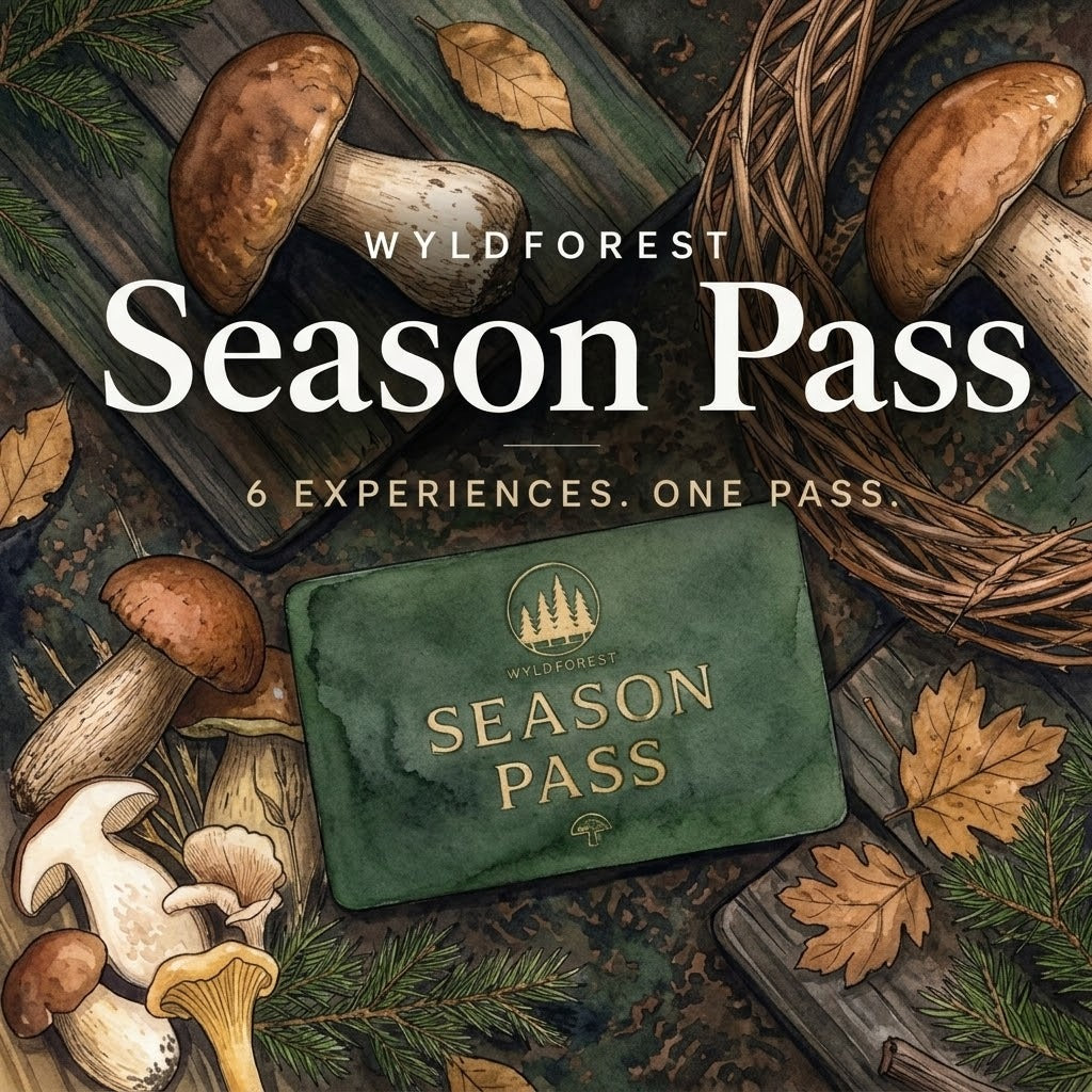 Wyldforest Season Pass: watercolor illustration with porcini mushrooms and the Season Pass card