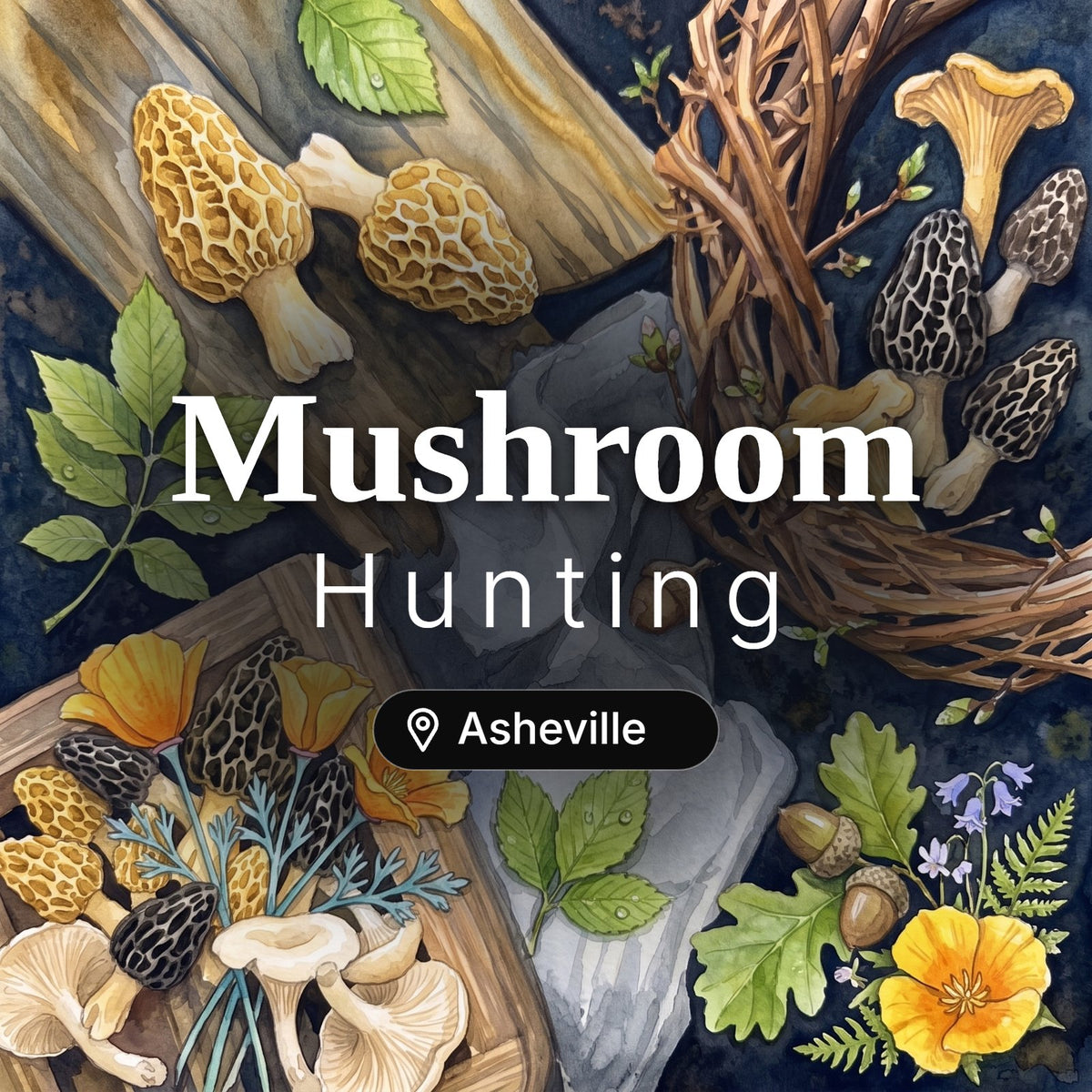 Mushroom Hunting Asheville – guided foraging tour