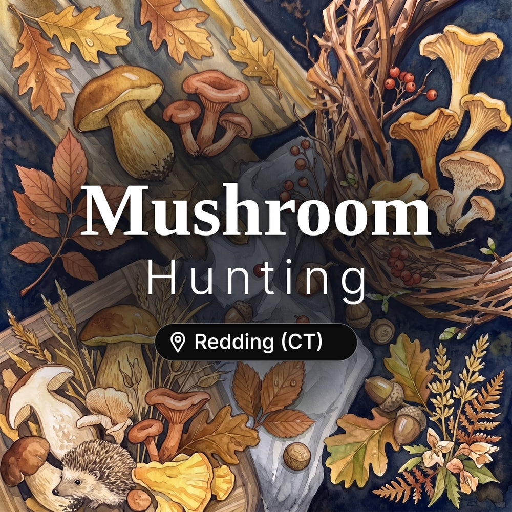 Mushroom Hunting Redding (CT)