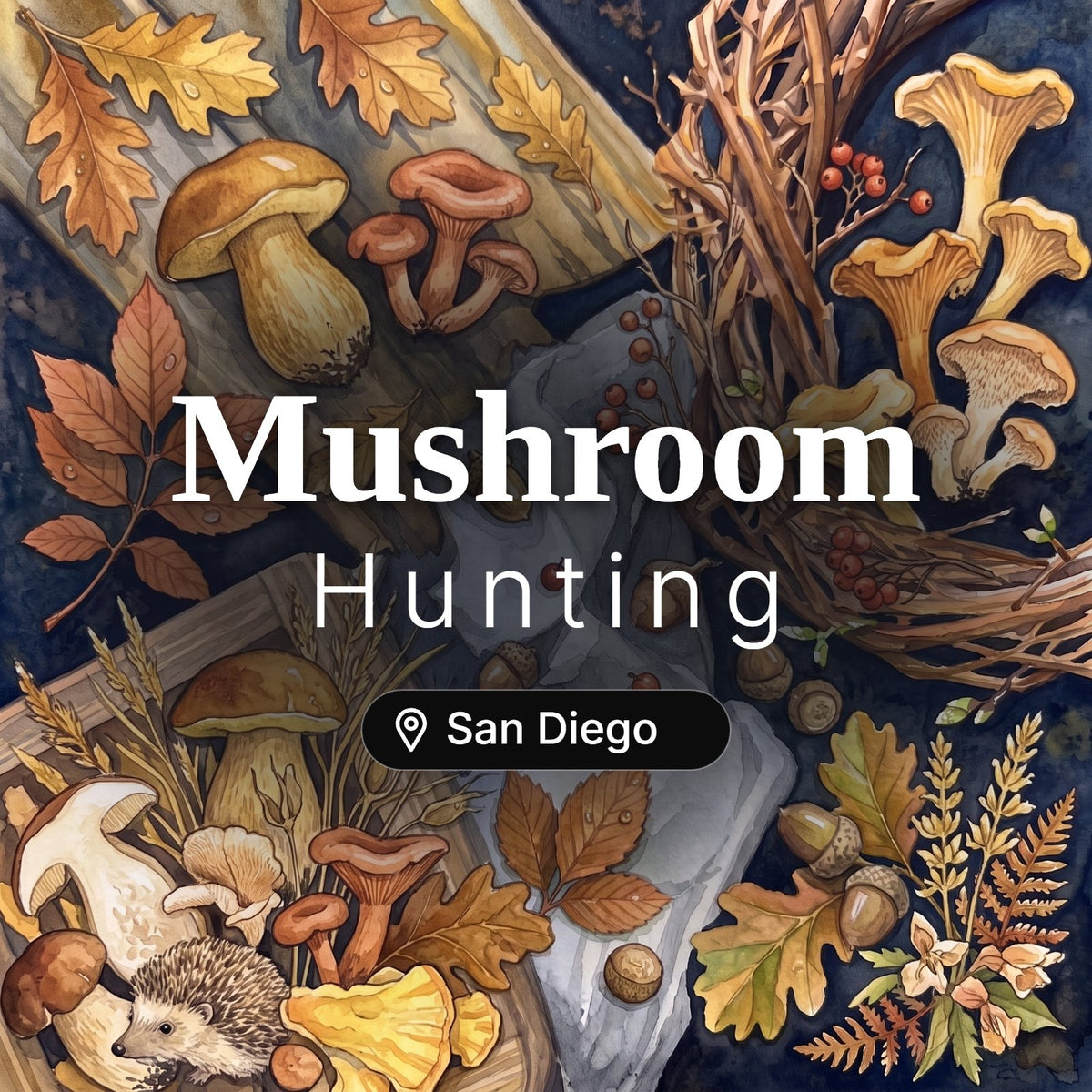 Mushroom Hunting San Diego – guided foraging tour