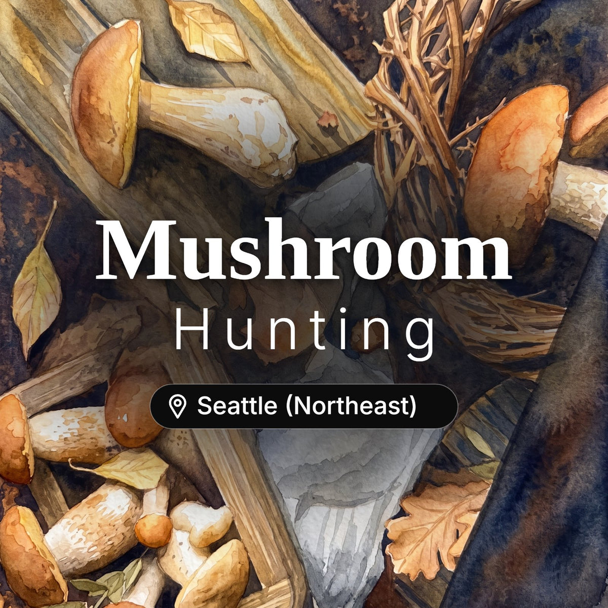 Mushroom Hunting Seattle (Northeast) – guided foraging tour