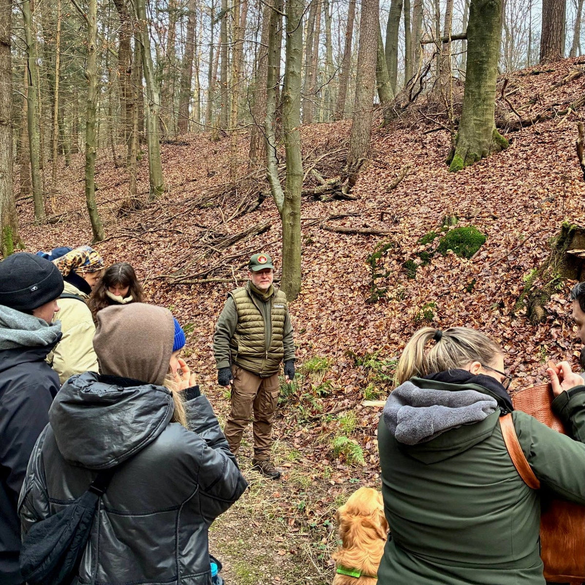 Group on a guided winter forest walk with a Wyldforest guide